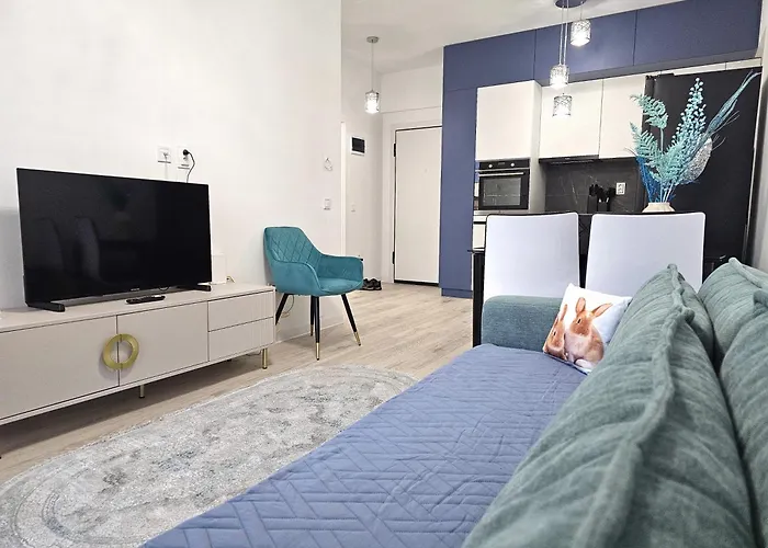 Cruise Apartment Brasov