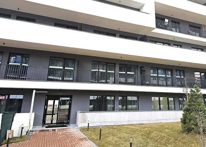 Cruise * 布拉索夫